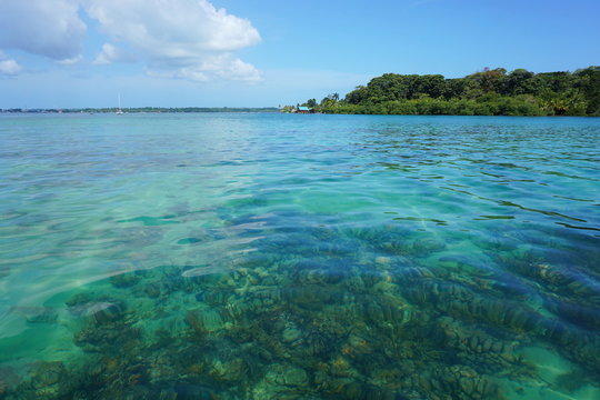 Clear water with corals below sea surface