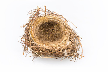 bird nest