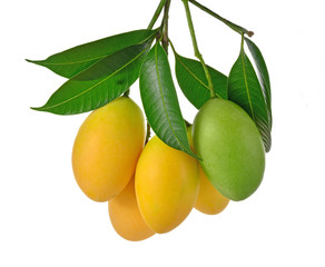 Mayongchid hanging chain on white background