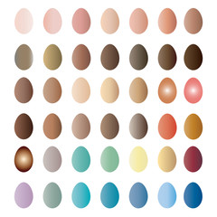 eggs