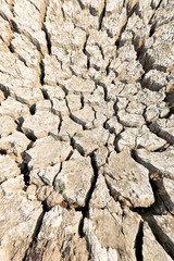 cracked clay ground into the dry season