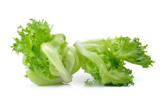 lettuce isolated on a white background
