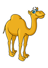 Fun cartoon camel animal character