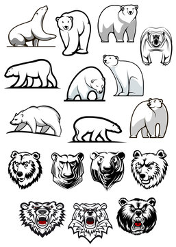Polar Bear Cartoon Images – Browse 44,547 Stock Photos, Vectors, and Video  | Adobe Stock