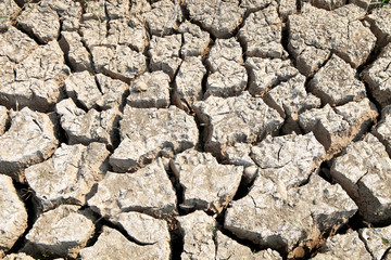 cracked clay ground into the dry season