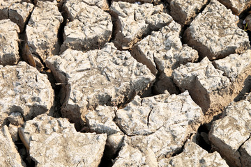 cracked clay ground into the dry season