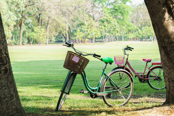 Fototapeta premium bicycle in garden park on sunny