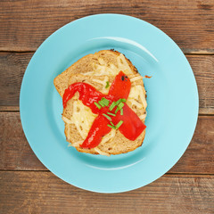 Sandwich with tomatoes on a plate