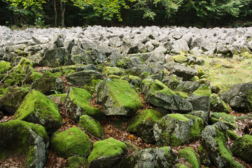 Big stones in the andesite stone sea