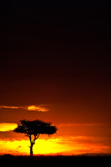Kenyan Sunset