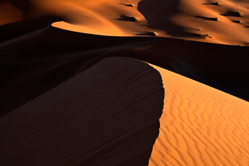 Dune abstract