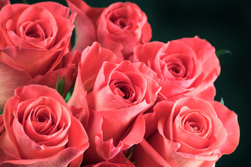Rose flowers bunch