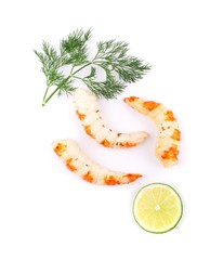 Fresh shrimps isolated