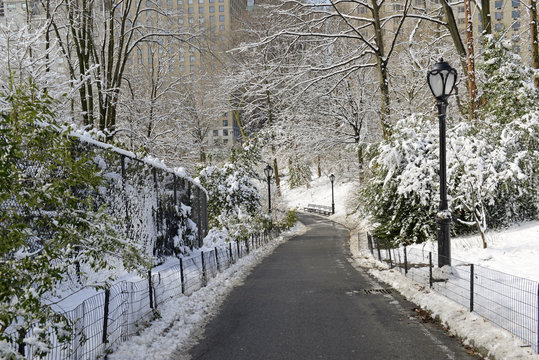 Walking path in park after snow storm, New York City