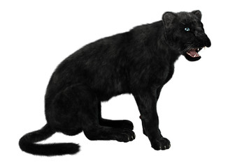 Black Panther