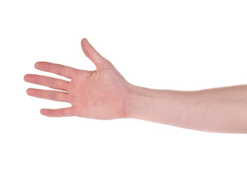 Hand that can hold something.