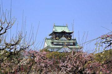 大阪城と梅林