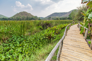 Fototapeta na wymiar Bammboo bridge near reservoir with mountain and sky view