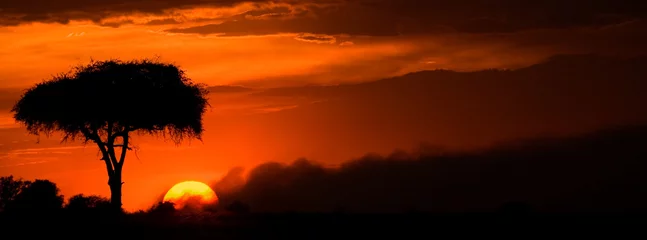Foto auf Acrylglas Kenia Sonnenuntergang © 2630ben