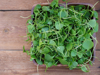 Watercress in bowl on wooden background. Top view.