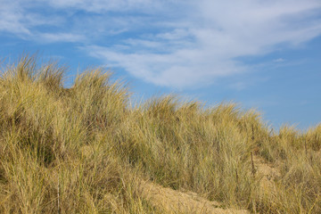 Obraz premium Normandie