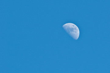 Half moon