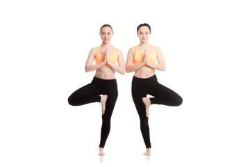 Obraz premium Yoga with companion, Vriksasana pose