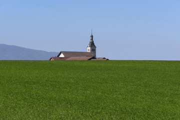 Rapeseed field with a church in the background