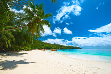 Fototapeta na wymiar Beautiful beach at Seychelles