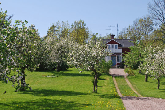Ferienhaus in Schweden