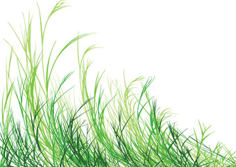 Grass is Greener