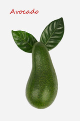 Avocado isolated on white background