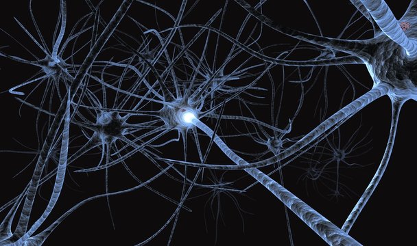 Consiguen convertir células en neuronas la píldora para regenerar neuronas  está más cerca  Computer Hoy