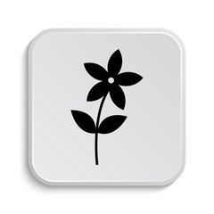 Flower  icon