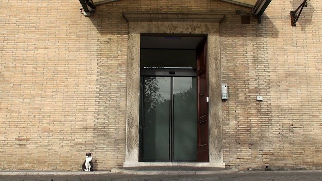 Vatican's cats at the Entrance to the Vatican Radio.