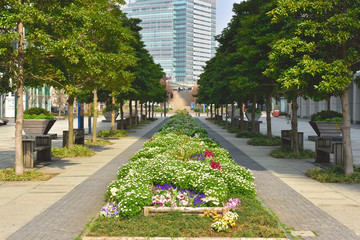 横浜・みなとみらい　グランモール公園