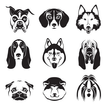 monochrome set of dogs heads