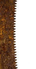 rusty saw blade on white background