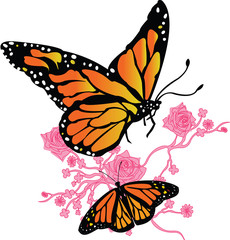 Monarch Butterfly