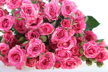 Bouquet of pink roses