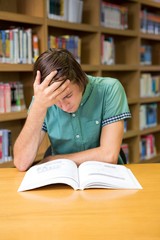 Student sitting in library reading