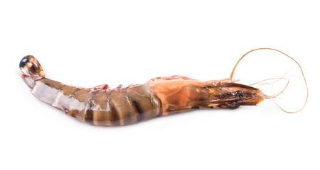 Naklejka premium Fresh Shrimp