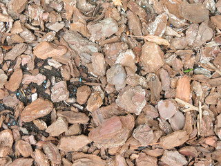 bark mulch