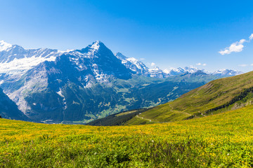 Panele Szklane Podświetlane  Panoramiczny widok na szczyty Eiger i Otehr