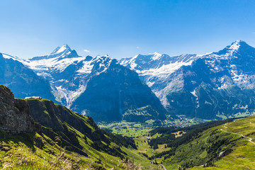 Fototapeta na wymiar Panorama view of Schreckhorn, Fiescherwand, Eiger