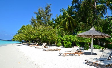 amazing beach (maldives)