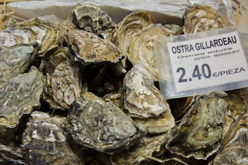 Fototapeta na wymiar closed oysters seafood store