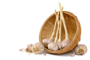 Garlics in bamboo basket on white background