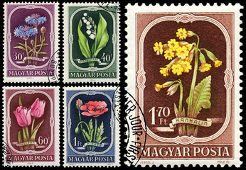 Fototapeta na wymiar Stamps printed in Hungary show Flowers