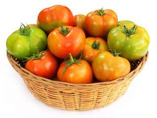 Some tomatoes in a basket